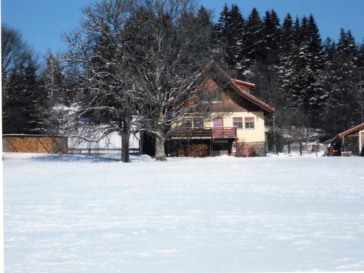 Landhaus Graf Kniebis Exterior foto